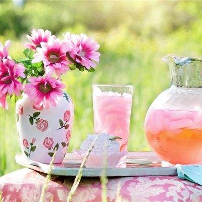 小蚁部落游戏