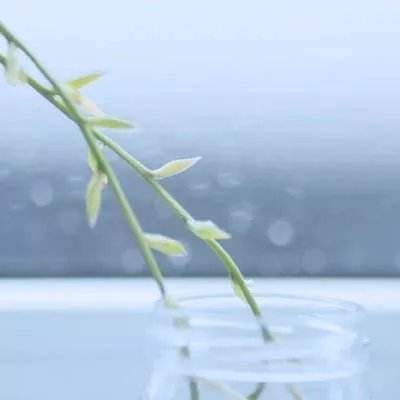 反人类的巨大药片，到底为啥要设计成这样
